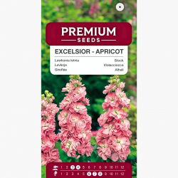 Lewkonia letnia Excelsior łososiowa - 300 nasion