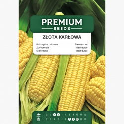 Kukurydza cukrowa Złota Karłowa - 120 nasion