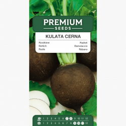 Rzodkiew zimowa Kulata Cerna, Czarna Kula - 400 nasion
