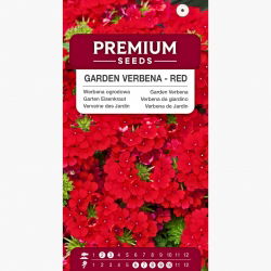 Werbena ogrodowa czerwona - 120 nasion