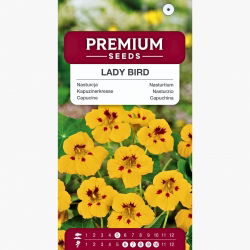 Nasturcja niska - Lady Bird - 24 nasion