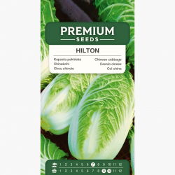 Kapusta pekińska Hilton - 215 nasion