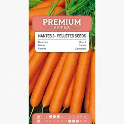 Marchew Nantes 3 (Nantejska) - średnio wczesna - NASIONA OTOCZKOWANE - 400 nasion