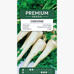 Pietruszka Osborne - średnio późna nowość - 3000 nasion