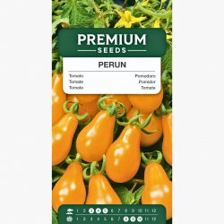 Pomidor Perun - żółty, gruszkokształtny, wspaniały do sałatek i dekoracji