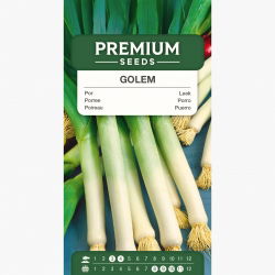 Por Golem - odporny na chłody, wyrazisty smak i aromat - 320 nasion