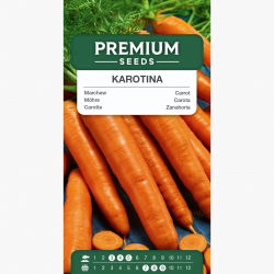 Marchew Karotina - wczesna, słodka, o zwiększonej zawartości karotenu - 4250 nasion