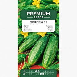 Ogórek Victoria F1 - gruntowy, intensywnie zielony z drobnymi brodawkami - 175 nasion