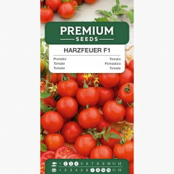 Pomidor Harzfeuer F1 - gruntowy, znany i ceniony w Europie - 175 nasion