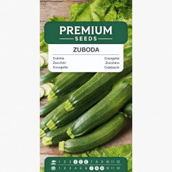 Cukinia Zuboda - odmiana wczesna - 16 nasion