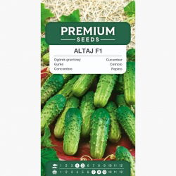 Ogórek Altaj F1 - jasnozielony, bez goryczki - 105 nasion