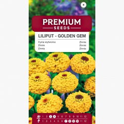 Cynia wytworna Liliput Golden Gem żółta