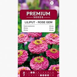 Cynia wytworna Liliput Rose Gem różowa