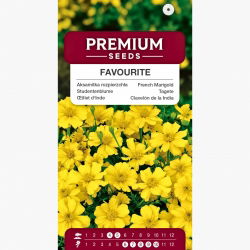 Aksamitka rozpierzchła pojedyncza Favourite