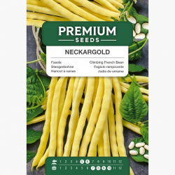 Fasola Neckargold szparagowa tyczna - żółta