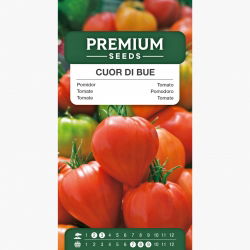Pomidor Cuor di Bue typ Bawole Serce - gruntowy, wysoki
