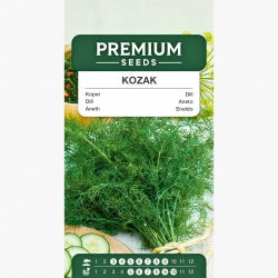 Koper ogrodowy Kozak - bardzo aromatyczny - 2800 nasion