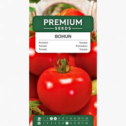 Pomidor gruntowy karłowy Bohun - bardzo wczesny, duże owoce!