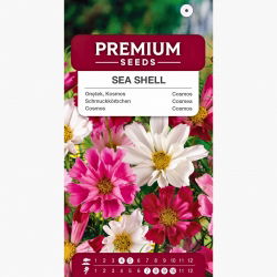 Onętek, Kosmos - Sea Shell - mieszanka