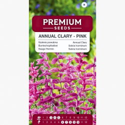 Szałwia powabna - różowa