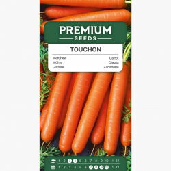 Marchew Touchon - średnio wczesna, można uprawiać w pojemnikach