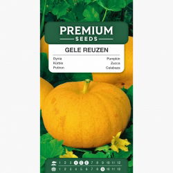 Dynia olbrzymia Gele Reuzen