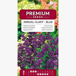 Szałwia powabna - niebieska