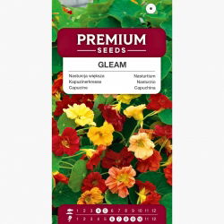 Nasturcja większa pełna Gleam - kolorowa mieszanka