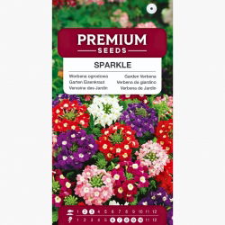 Werbena ogrodowa Sparkle