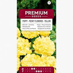 Mak letni - peoniowy, żółty