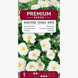 Portulaka pełna - biała