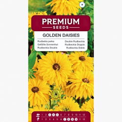 Rudbekia pełna - Golden Daisies