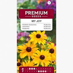 Rudbekia dwubarwna - My Joy
