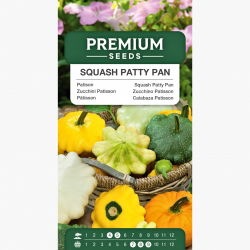 Patison - kolorowa mieszanka