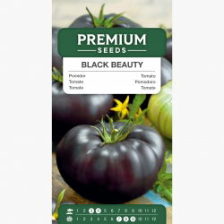 Pomidor Black Beauty - mięsisty, wysoki, gruntowy, słodki, czerwony w przekroju - HIT!