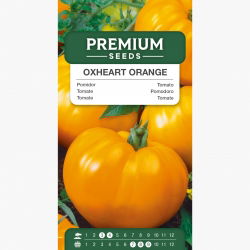 Pomidor Oxheart Orange - bawole serce, pomarańczowy, bardzo mięsisty