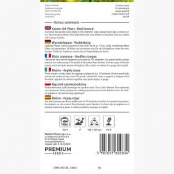 Rącznik - 6 nasiona