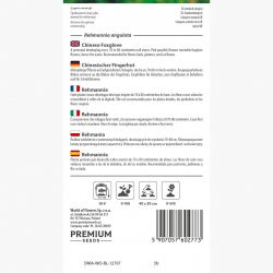 Rehmania - 500 nasion