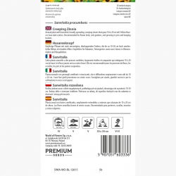 Sanwitalia rozesłana - 570 nasion