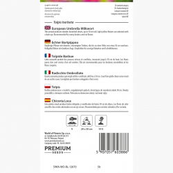 Tolpis - 2000 nasion