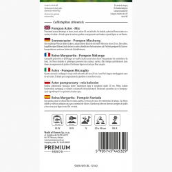 Aster chiński pomponowy - 500 nasion