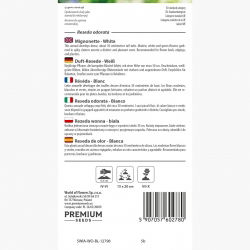 Rezeda wonna - 1600 nasion