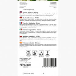 Werbena ogrodowa - biała - 120 nasion