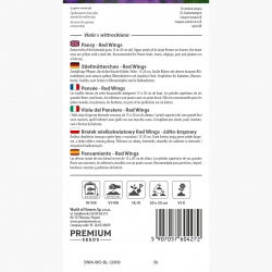 Bratek wielkokwiatowy - żółto-brązowy - 400 nasion