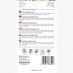 Szczypiorek - 1700 nasion