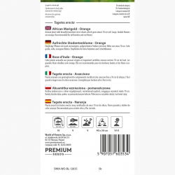 Aksamitka wzniesiona pomarańczowa - 300 nasion