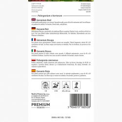 Pelargonia czerwona - 10 nasion