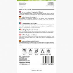 Sałata lodowa Regina Dei Ghiacci - kruche liście - 475 nasion