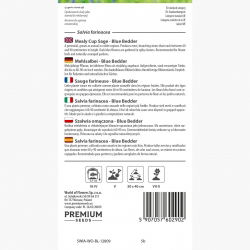 Szałwia omączona o kwiatach ciemnoniebieskich - 160 nasion