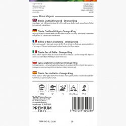 Cynia wytworna daliowa Orange King - 120 nasion